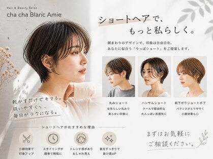 チャチャブラン アミー(cha-cha Blanc Amie)の写真