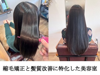 ティーク(TEAK)の写真