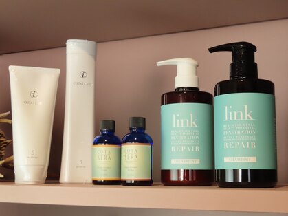 ノーク(noak.)の写真