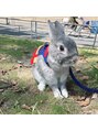 シプレ(cipre)&nbsp;うさぎを飼ってて動物大好きです。