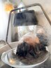 【未来の髪を守る】頭皮洗浄×頭浸浴×質感再生スパ
