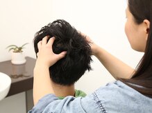 シラ(SHIRA)