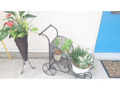 アミティエ(Amitie)の写真