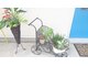 アミティエ(Amitie)の写真