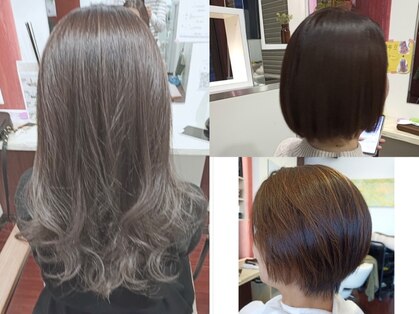 キャラ(kyara)の写真