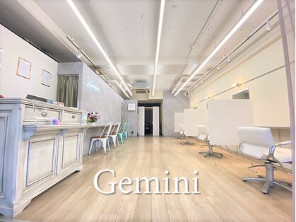 ジェミニ(Gemini)の写真