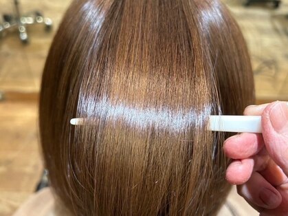 ライセンスの写真