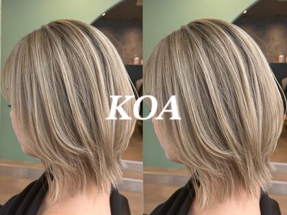 コア(Koa)の写真