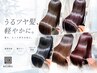 【夏もまとまる◎】髪質改善縮毛矯正+似合わせカット¥19800
