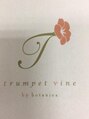 トランペットバイン 谷町6丁目(trumpetvine)&nbsp;instagram http://www.instagram.com/trumpetvine2017/