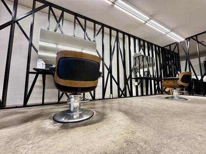 レディーバード(Lady bird)の写真