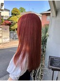ハイトーンオレンジカラー　【筑西市】