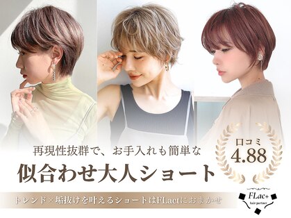 フラクト(FLact)の写真