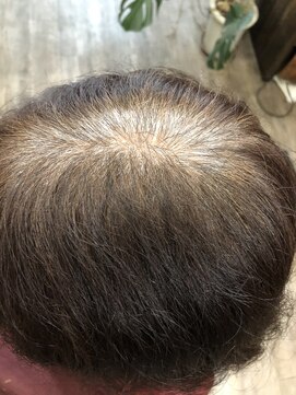 エースラボ(ACELAB) 天然100%ヘナ  ハナヘナ2度染め