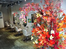 ヘアーハーツ 菊川店(Hair Hearts)の雰囲気（ネット予約、電話予約の両方で承ります。）