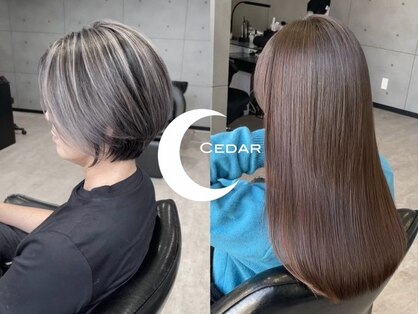 CEDAR【シーダー】の写真