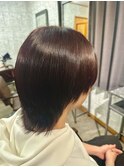 【透明感カラー】レッドブラウン 栃木 宇都宮 鹿沼 日光 小山