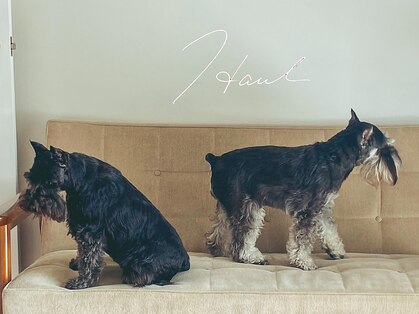 ハウルプロダクツエリア(HAUL PRODUCTS AREA)の写真