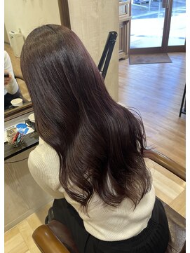 ルヴェール 本店(LeVert) 濃いめパープル！