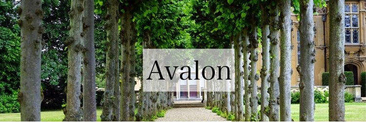 アバロン(Avalon)のサロンヘッダー