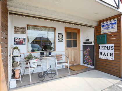 レプスヘアーの写真