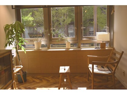 ステム(stem)の写真