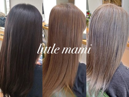 リトル マミの写真