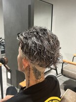 スウェル 柏店(Swell)&nbsp;シルバーメッシュ×メンズパーマ [柏/メンズサロン]