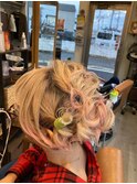 ヘアセット