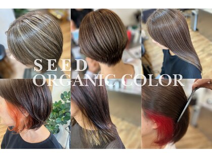 シード(SEED)の写真