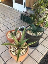 てんとう虫&nbsp;かんの 