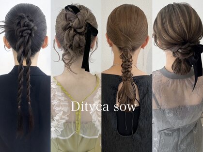 ディティカ サウ(Dityca sow)の写真