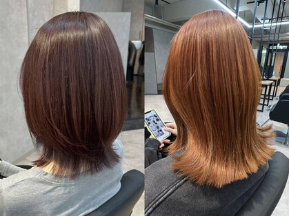 ズッカ(ZuKKa)の写真