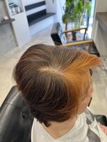 リアン バイ トルシュ ヘアワークス(Riant by TORChe hair works) 上質天然素材使用のヘナカラー