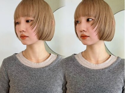 タート(Taat.)の写真