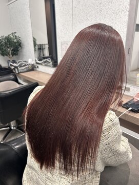 シェル 立川(shell) レッドブラウンカラー