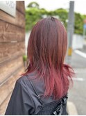 レイヤー