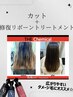 【アップグレード】カット＋修復リボーントリートメント