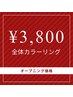 【オープン限定価格】全体カラー3,800円(自社トリートメント込み)60分