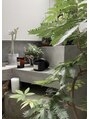らふる其の二 たくさんの植物に囲まれたお家でゆっくりと過ごします。