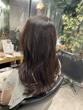 シェル 吉祥寺(shell) 韓国ヨシンモリナチュラルベージュ