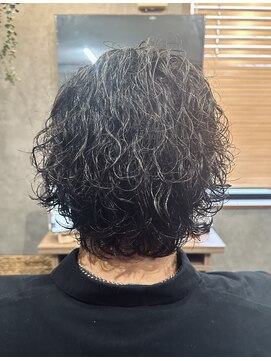 ノクト(noct) 【サーフカール】