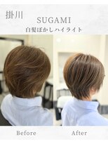 スガミ(SUGAMI)&nbsp;白髪ぼかしハイライト/脱白髪染め