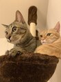 シャンス ヘアー(Chance hair)&nbsp;愛猫の「きなこ&ごま」共に暮らしてます♪猫好き☆