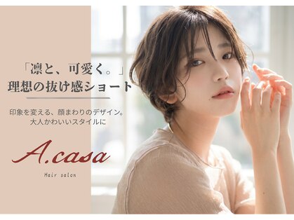 アカサ(A.casa)の写真
