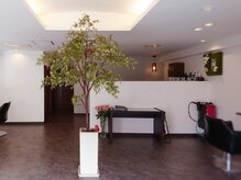 テラス(TERRACE)