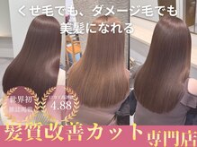 アオ(Ao)