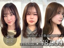 マルケ ドゥ マッシュ(MaruQuee de mashu)