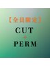 【全員向けクーポン】カット+パーマ+トリートメント+トステア￥16280～