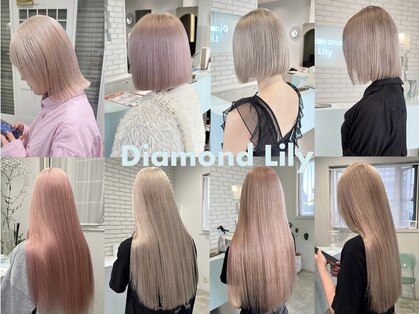 ダイアモンドリリー(Diamond Lily)の写真